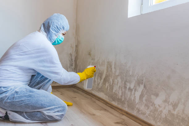 Mold inspector in Boyds performing thermal imaging