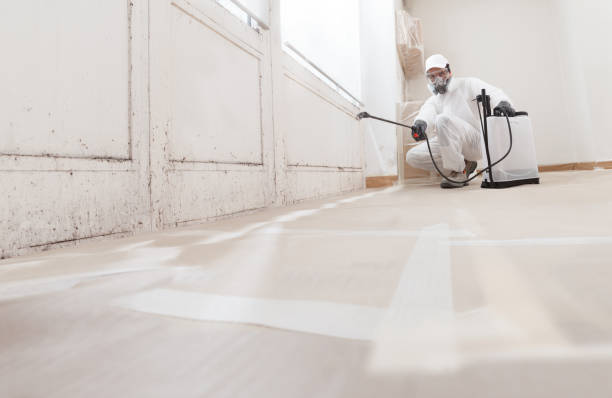 Black mold remediation team in Boyds